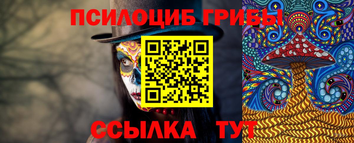Псилоцибиновые грибы MAGIC MUSHROOMS  Вход с VPN  Галлюциногенные грибы GOLDEN TEACHER  Ишимбай 